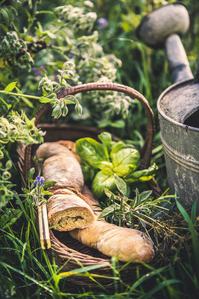 Photo GUILLAUME CZERW