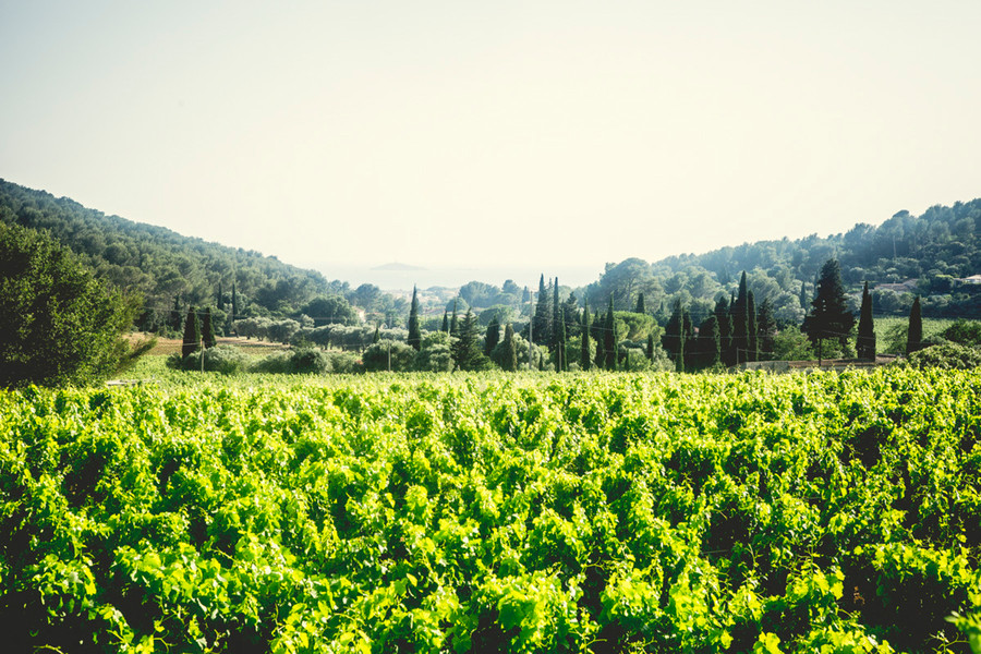 Photo GUILLAUME CZERW