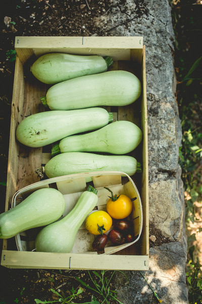 Photo GUILLAUME CZERW