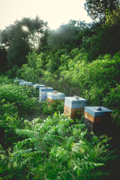 Photo GUILLAUME CZERW