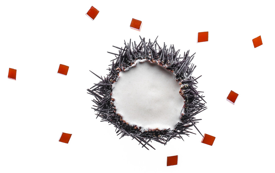 Photo Vittorio Bergamaschi