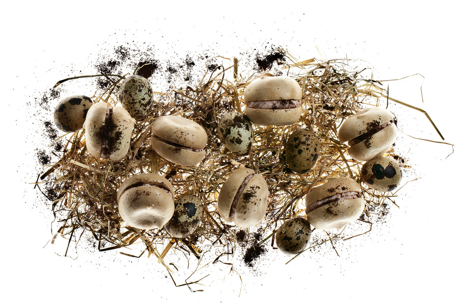 Photo Vittorio Bergamaschi