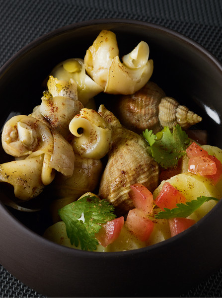 Photo Nicolas Bertherat