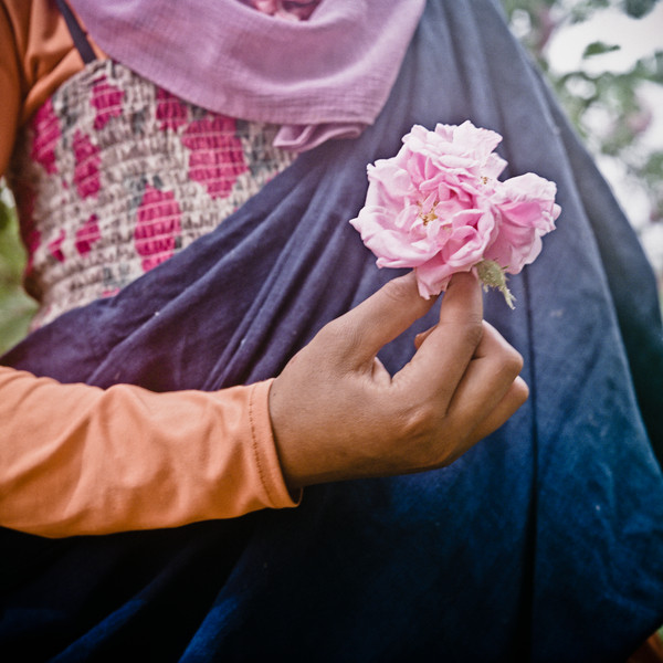 Photo Denis DAILLEUX