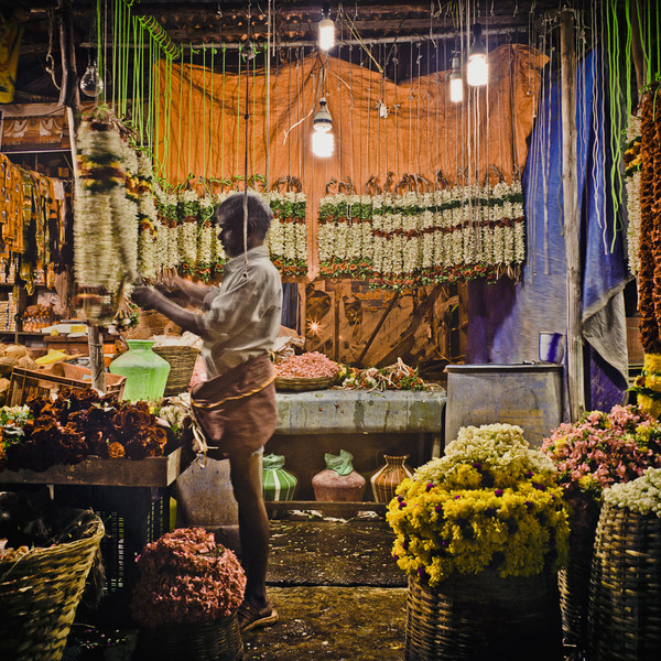 Photo Denis DAILLEUX