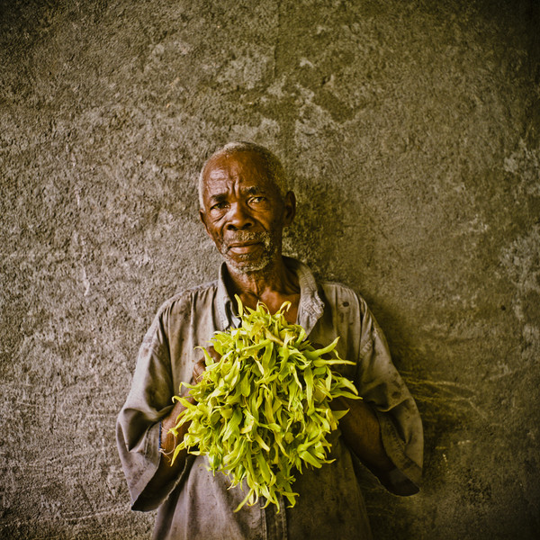 Photo Denis DAILLEUX