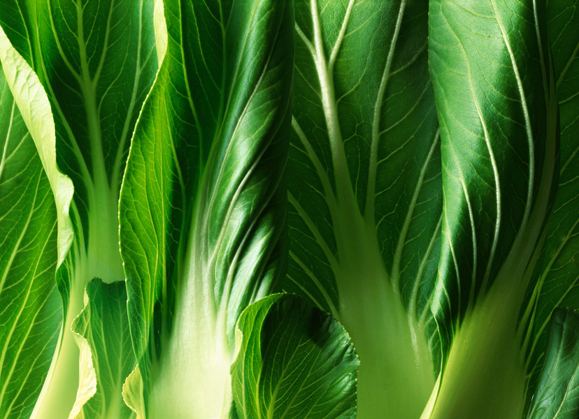 Photo Patrice de Villiers