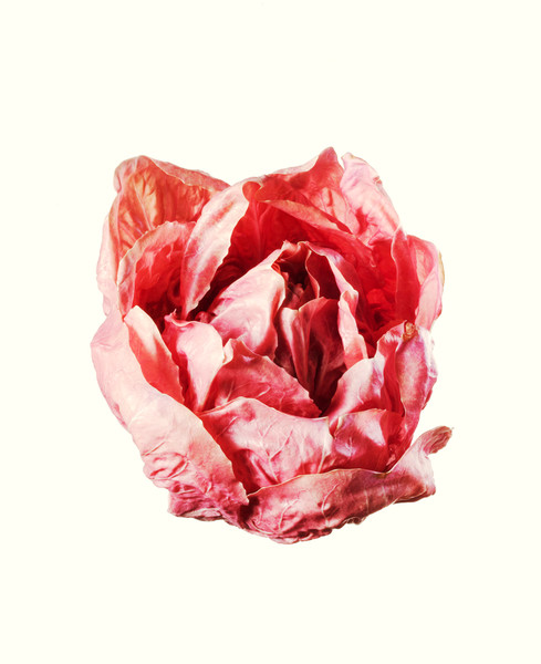 Photo Patrice de Villiers