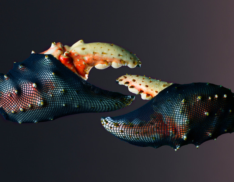 Photo Patrice de Villiers