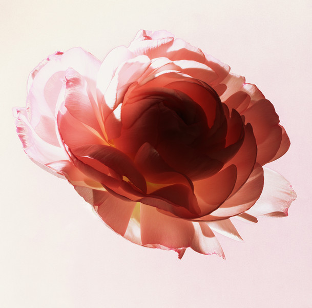 Photo Patrice de Villiers