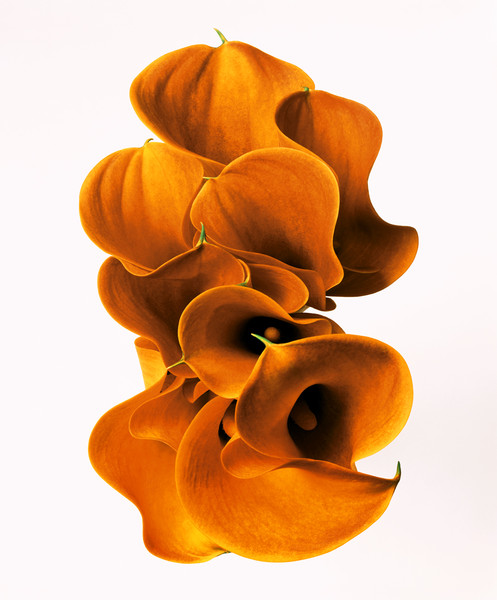 Photo Patrice de Villiers