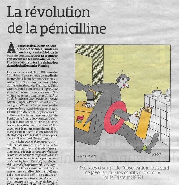 Photo Lionel Koechlin