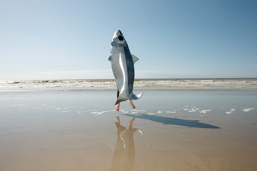 Photo Louis Décamps