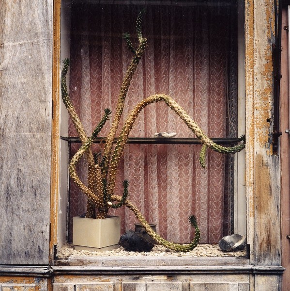 Photo Christophe Boulze