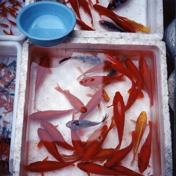 Photo Christophe Boulze