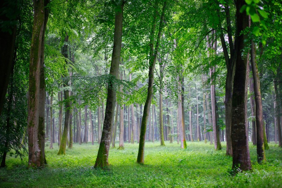 Photo Christophe Boulze