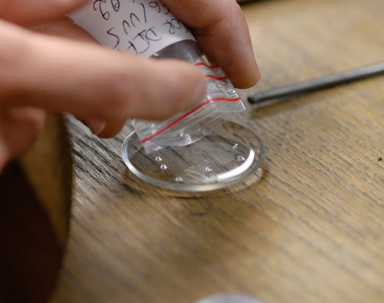 Photo Christophe Boulze