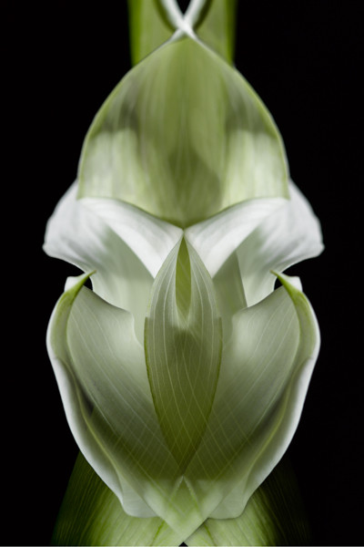 Photo Florence Verrier