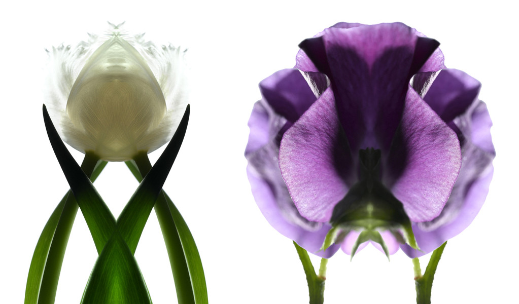 Photo Florence Verrier