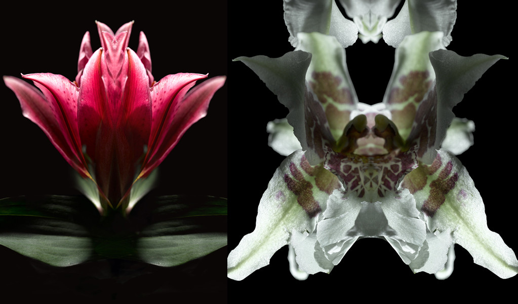 Photo Florence Verrier