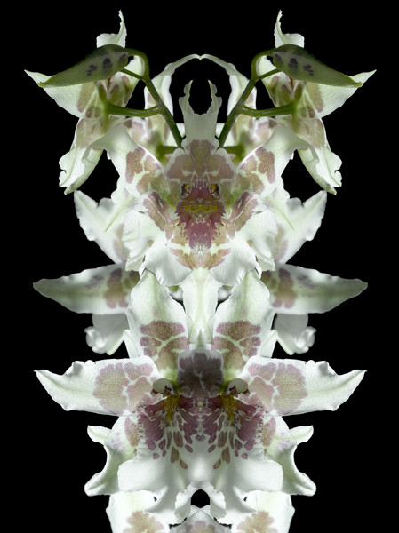 Photo Florence Verrier