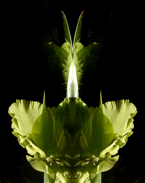 Photo Florence Verrier