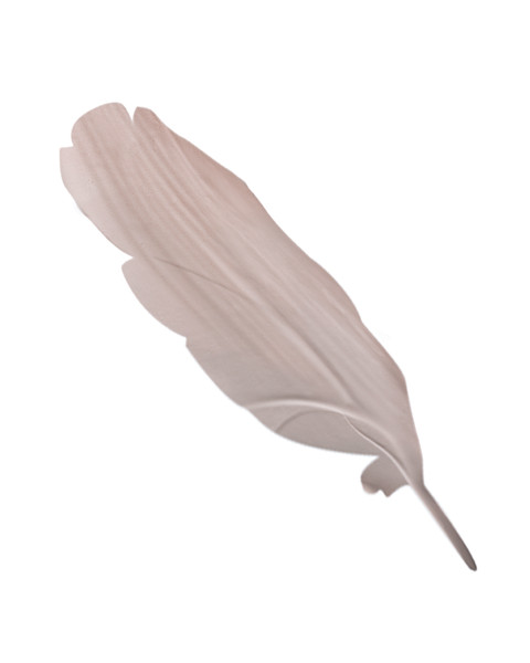 Photo Florence Verrier