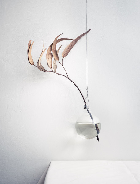 Photo Jérôme Galland