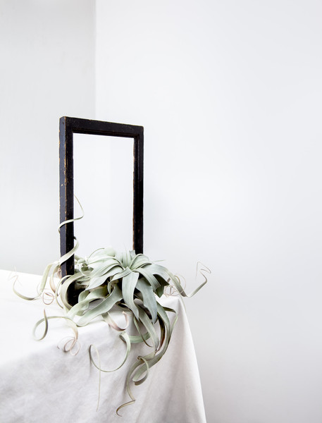 Photo Jérôme Galland