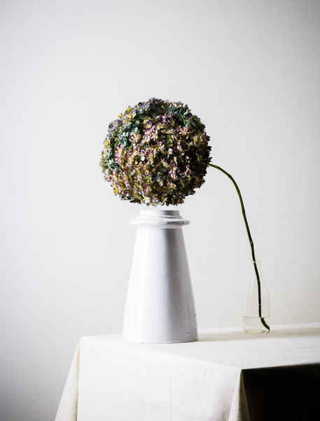 Photo Jérôme Galland