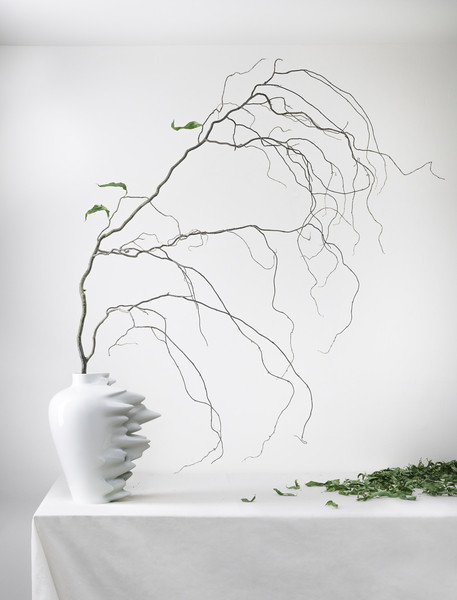 Photo Jérôme Galland