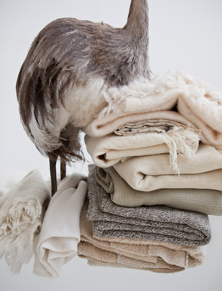 Photo Jérôme Galland