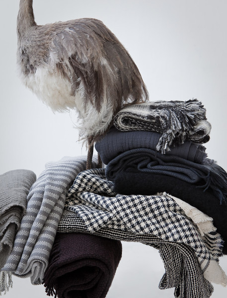 Photo Jérôme Galland