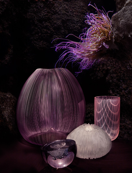 Photo Jérôme Galland