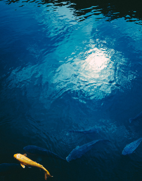 Photo Jérôme Galland