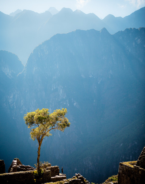 Photo Jérôme Galland