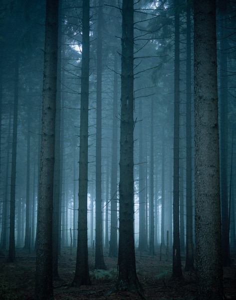 Photo Jérôme Galland