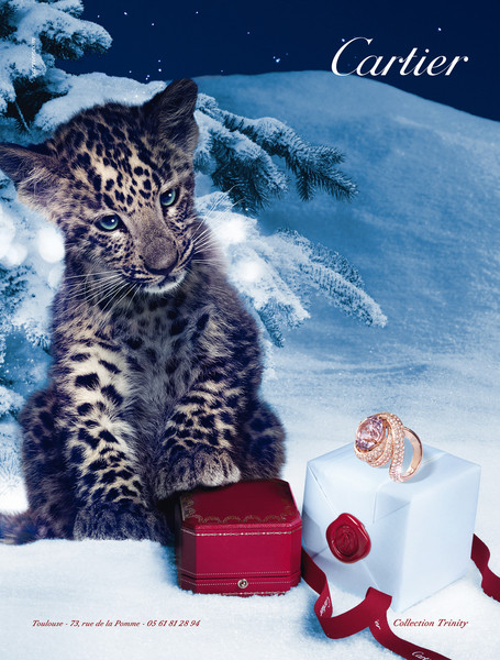 Photo Benjamin Henon