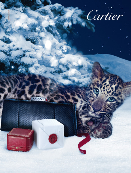 Photo Benjamin Henon