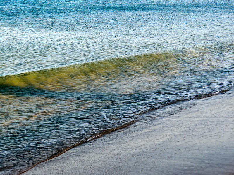 Photo Stefano Bianchi