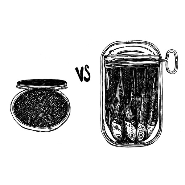 Photo Ophélie Dhayere