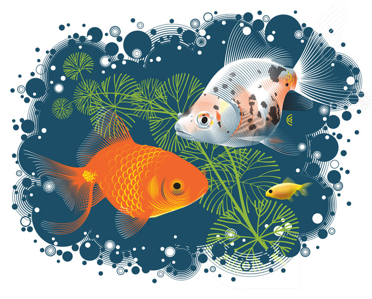 Photo Christopher Evans