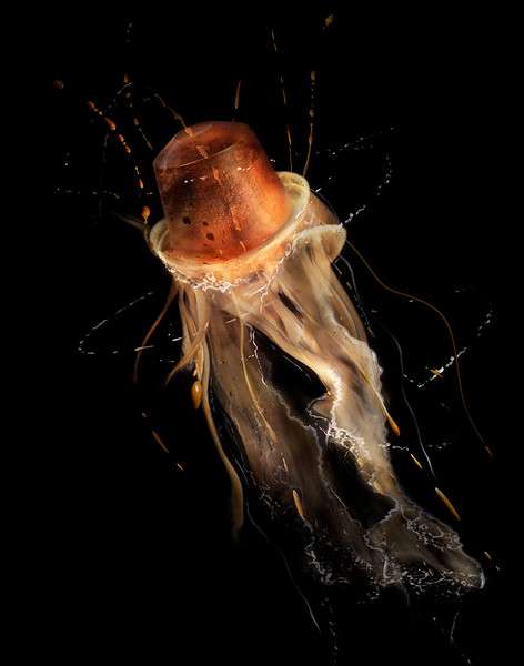 Photo Patrice de Villiers