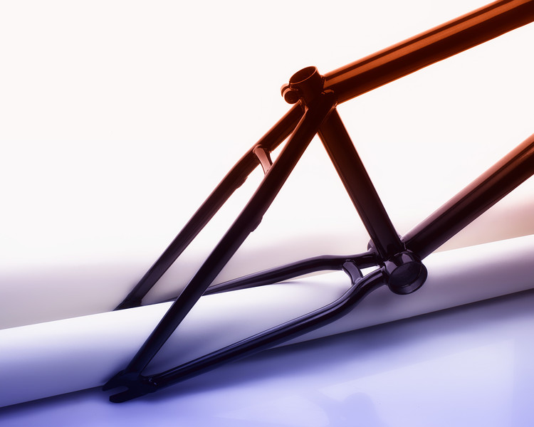 Photo Vittorio Bergamaschi