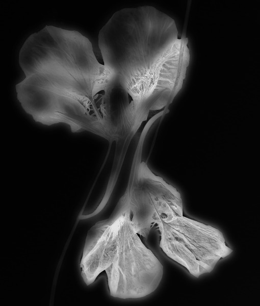 Photo Florence Verrier