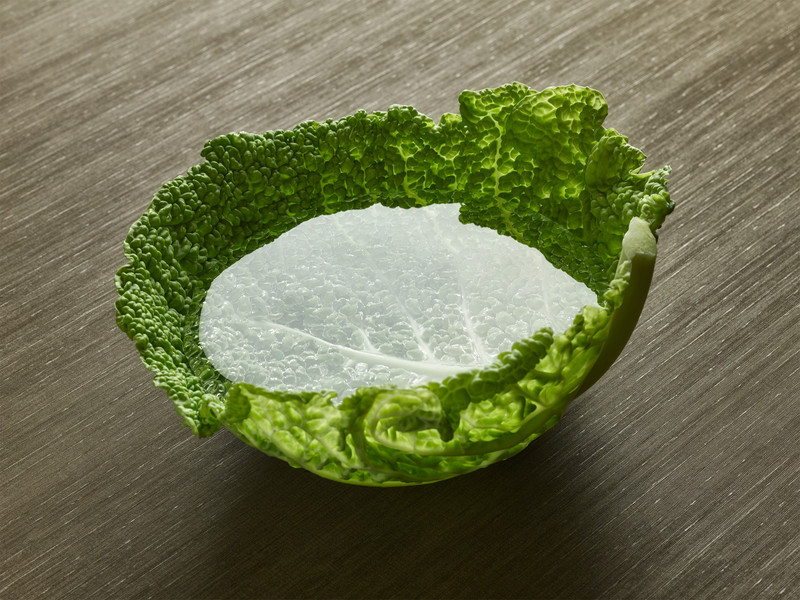 Photo Vittorio Bergamaschi