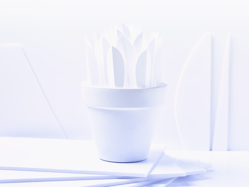 Photo Vittorio Bergamaschi