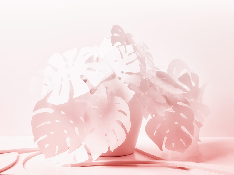 Photo Vittorio Bergamaschi