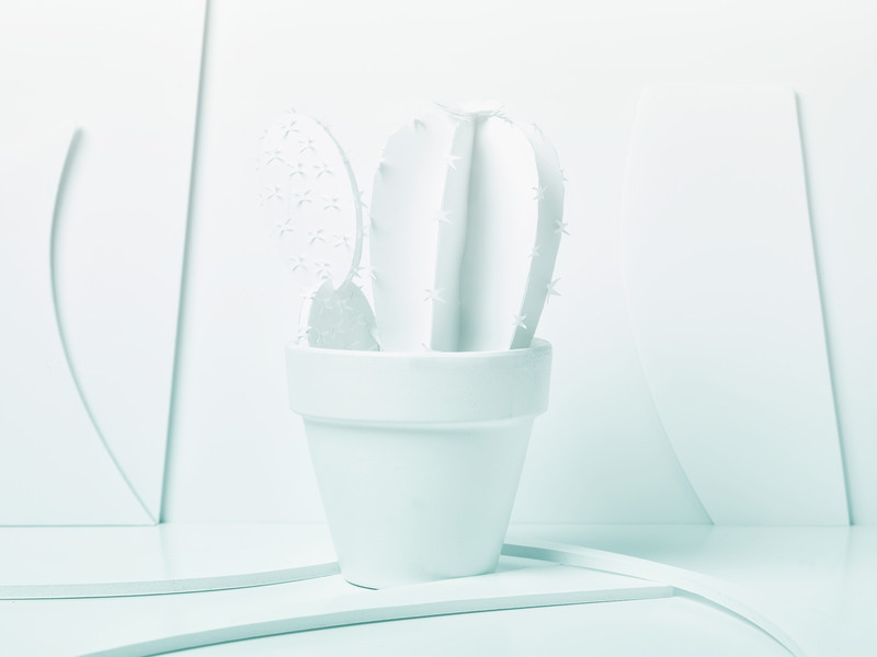 Photo Vittorio Bergamaschi