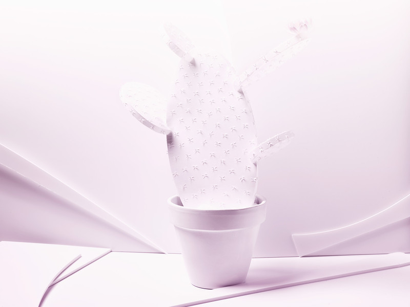 Photo Vittorio Bergamaschi